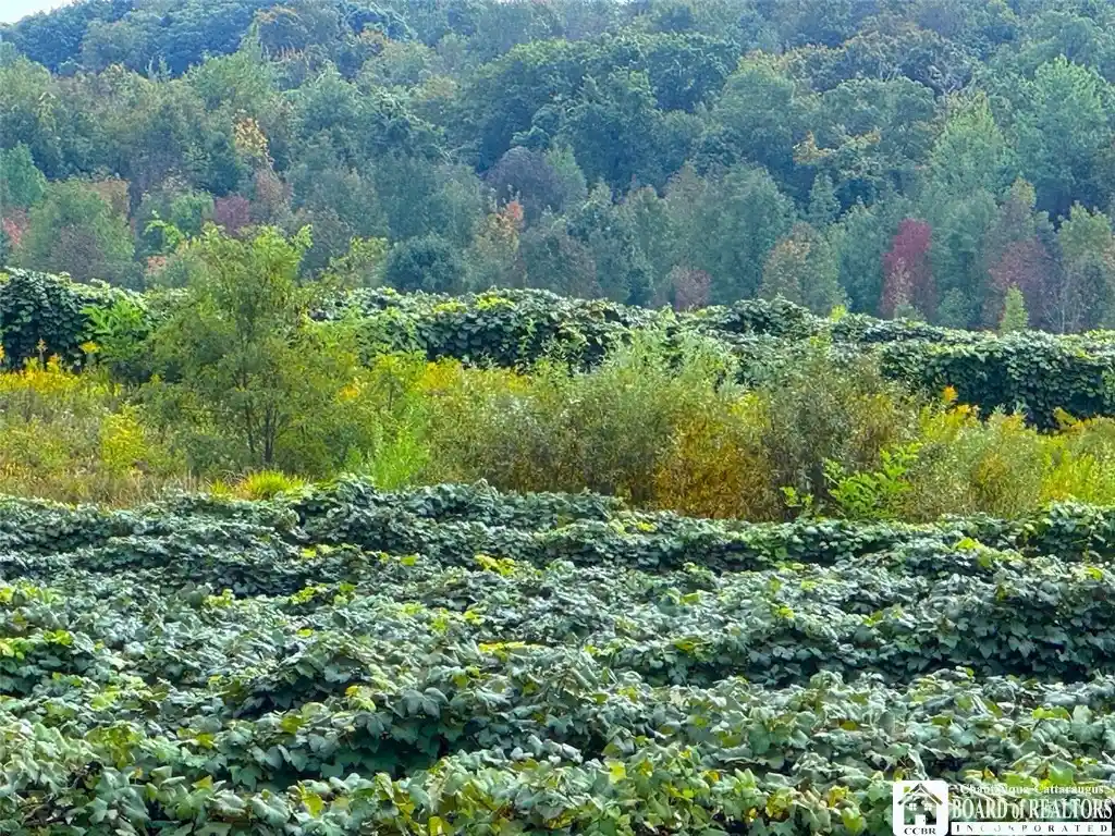 Photo 1 of Land for sale at Hardscrabble Rd, Westfield, NY 14787 | MLS# R1721025 | Listing updated on 2026-10-09