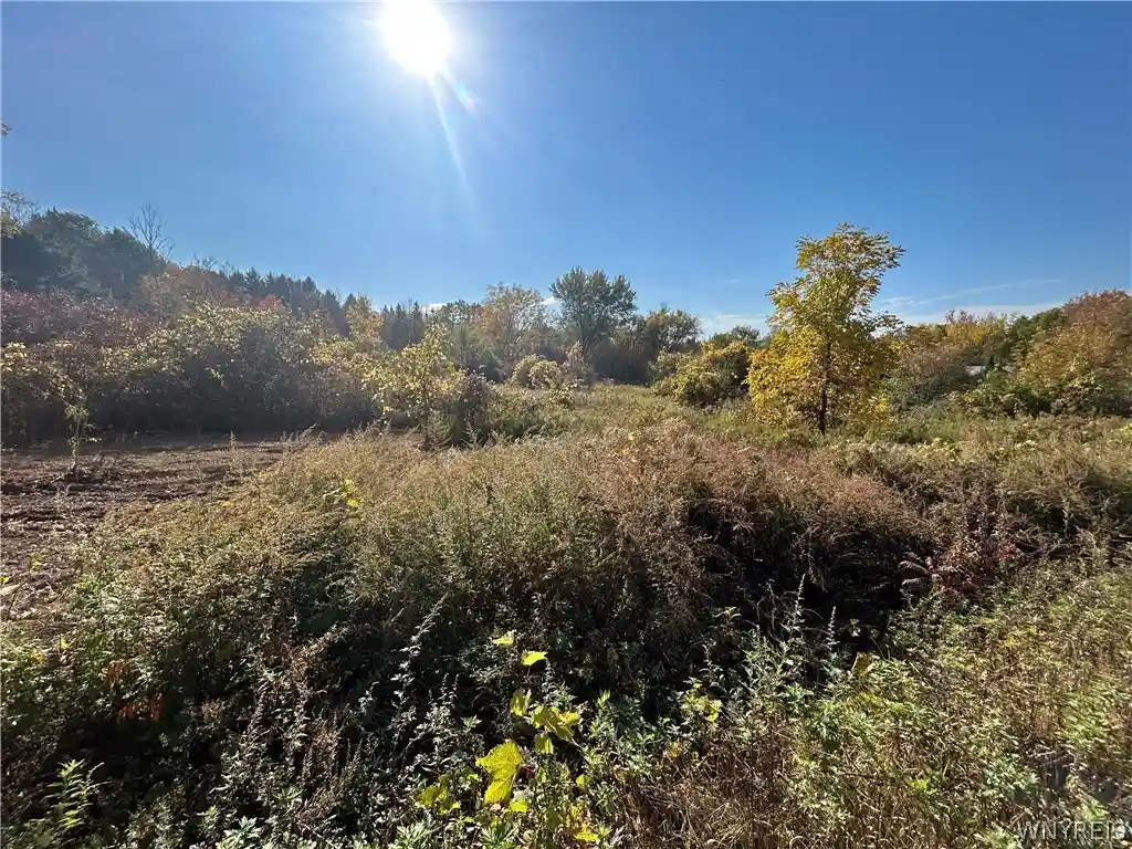 Photo 1 of Land for sale at 2381 Blakeley Rd, South Wales, NY 14139 | MLS# B1721982 | Listing updated on 2026-10-14