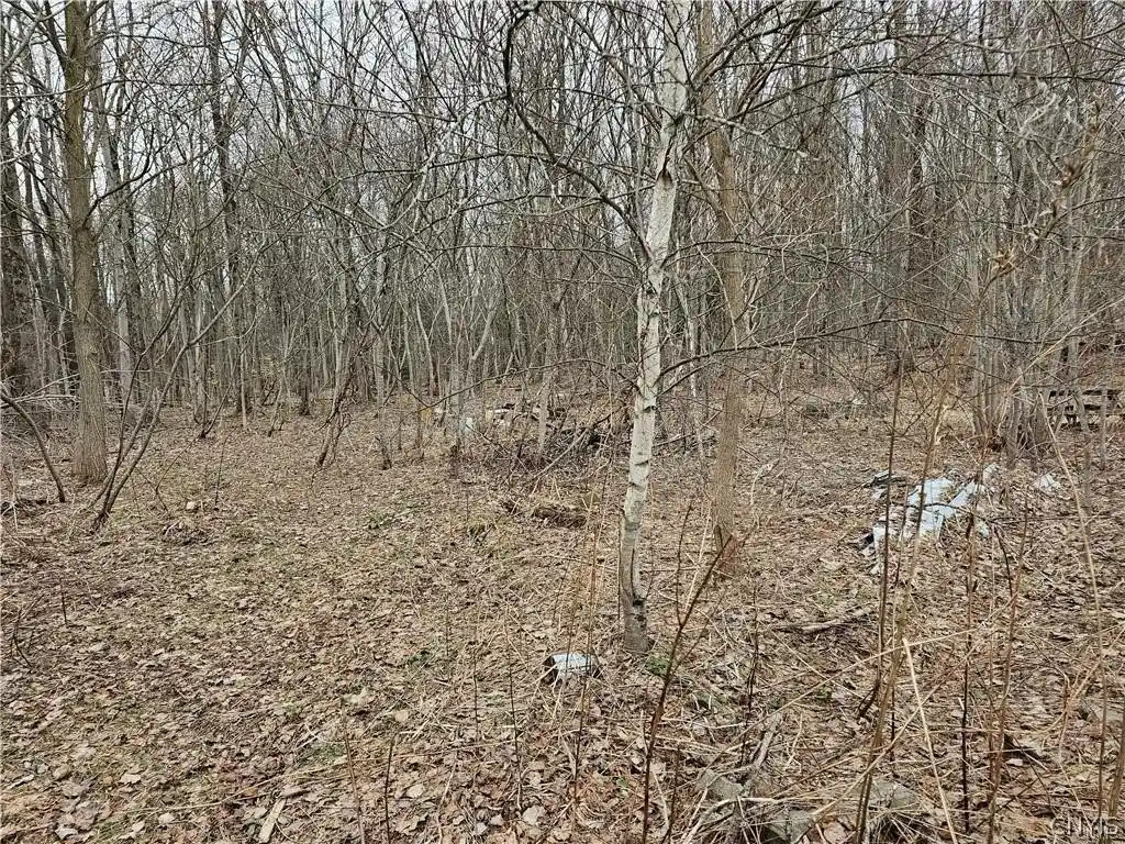 Land for sale at 6985 Stearns Rd, Rome, NY 13440 | MLS# S1722681