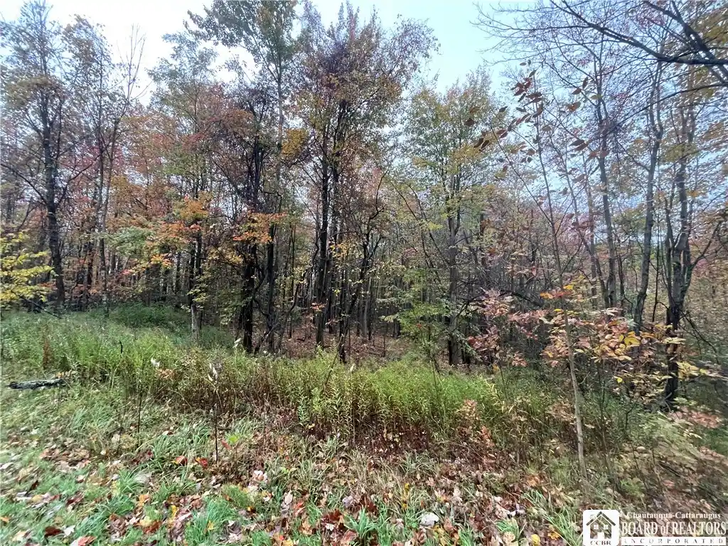 Photo 1 of Land for sale at Park Rd, Cassadaga, NY 14718 | MLS# R1721047 | Listing updated on 2026-10-18