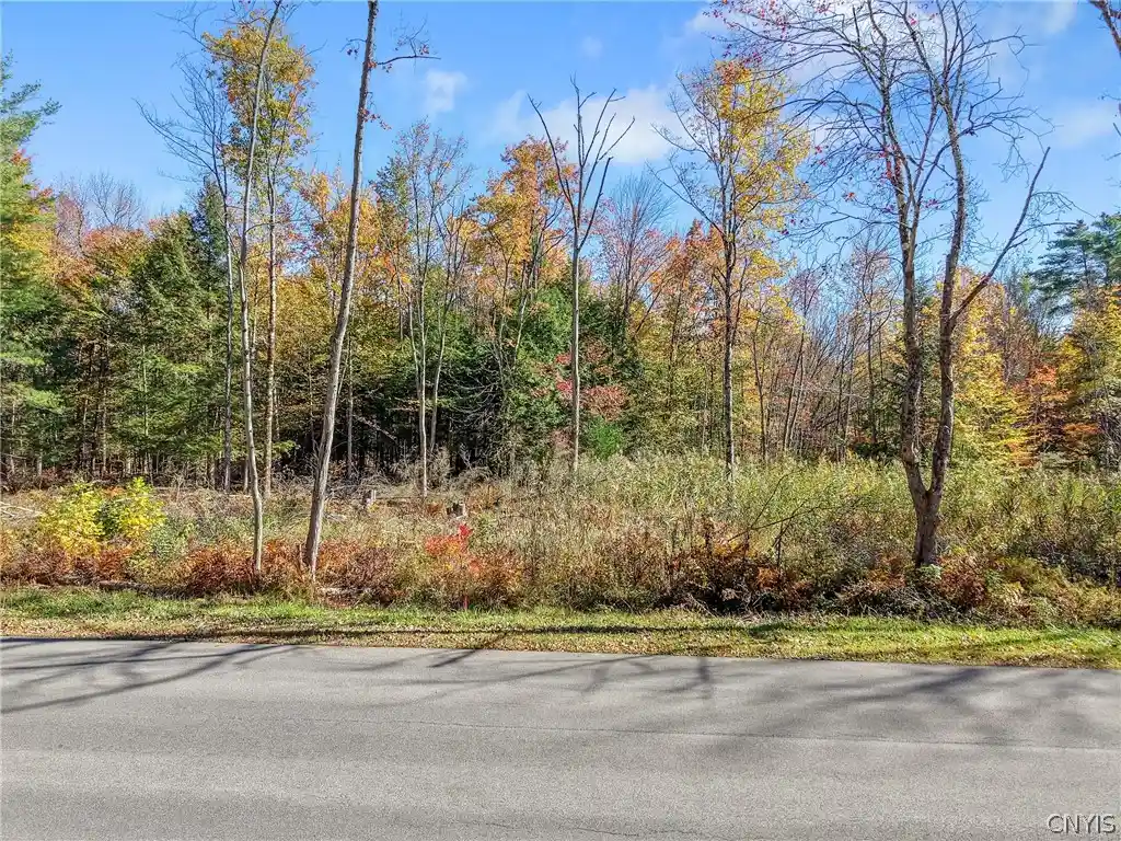 Photo 1 of Land for sale at Lot 2 Martin Rd, Cleveland, NY 13042 | MLS# S1723537 | Listing updated on 2026-10-21