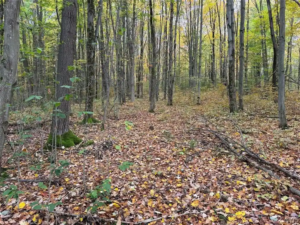 Photo 1 of Land for sale at Sunset Hl Rd, Machias, NY 14101 | MLS# S1724165 | Listing updated on 2026-10-22