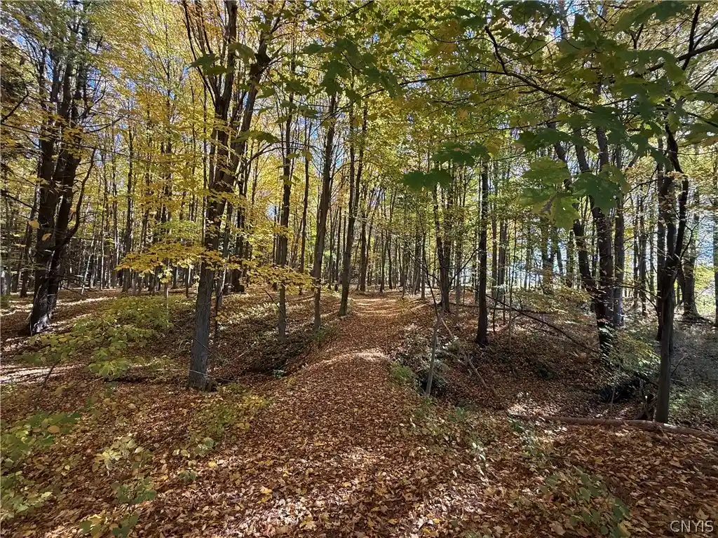 Photo 1 of Land for sale at 700 County Route 22a, Sandy Creek, NY 13145 | MLS# S1724222 | Listing updated on 2026-10-22