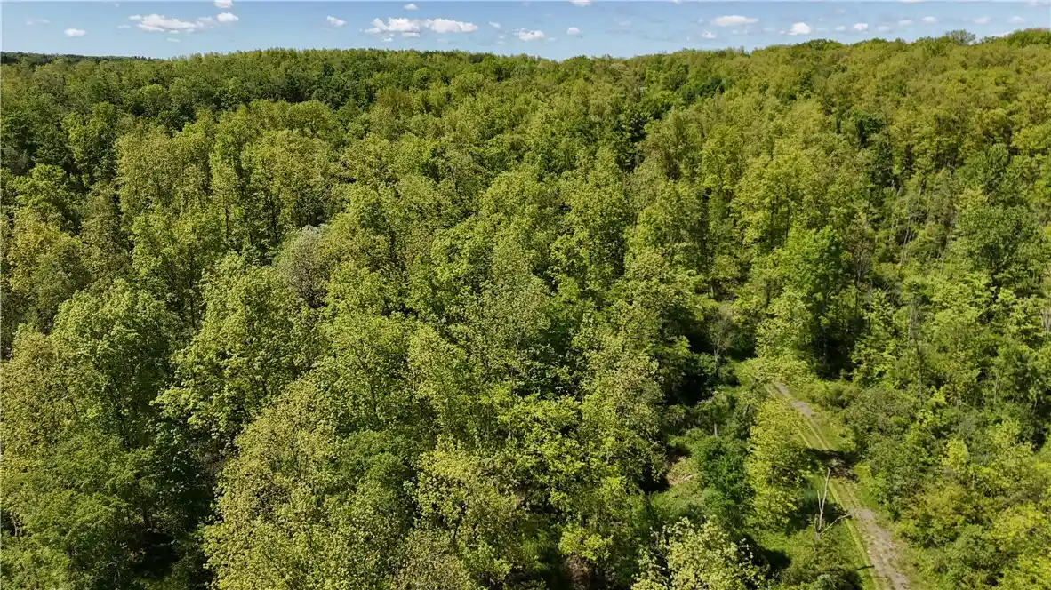Photo 1 of Land for sale at 0 Forest Ave Ext, Jamestown, NY 14701 | MLS# R1724827 | Listing updated on 2026-10-25