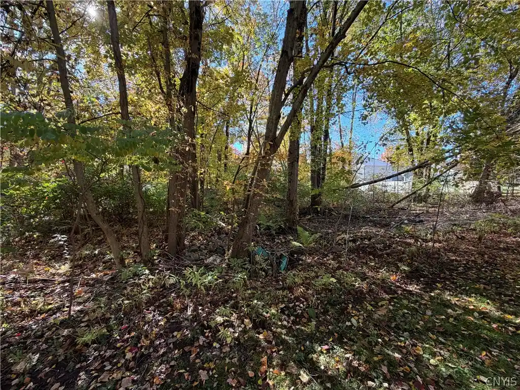 Photo 1 of Land for sale at Lot 18 22nd, Vienna, NY 13157 | MLS# S1725129 | Listing updated on 2026-10-26