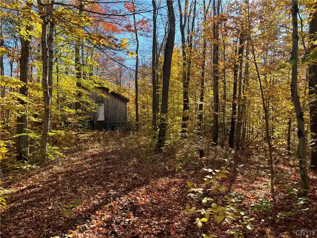 Land for sale at 0 Lee Rd, Camden, NY 13316 | MLS# S1724768