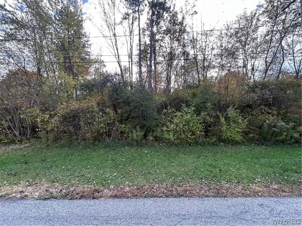 Photo 1 of Land for sale at Rounds Rd S, Newfane, NY 14108 | MLS# B1725353 | Listing updated on 2026-10-28