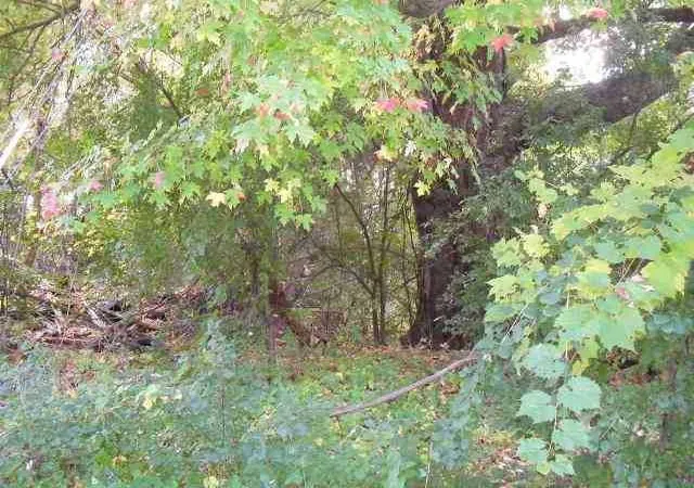 Photo 1 of Unimproved Land at 0 Packwood Rd, Waterloo, NY 13165 | MLS# R194800 | | Sold on 2013-01-25