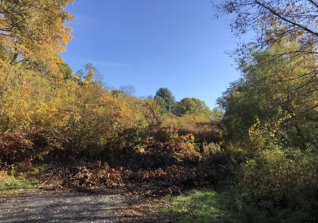 Photo 1 of Sale Pending at Cole Ln, Troy, NY 12180 | MLS# 202032172 | Listing updated on 2024-10-27