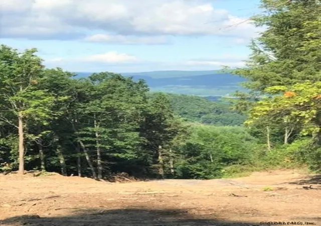 Photo 2 of Sale Pending at 000 Huntersland Rd, Middleburgh, NY 12122 | MLS# 202123490 | Listing updated on 2024-10-26