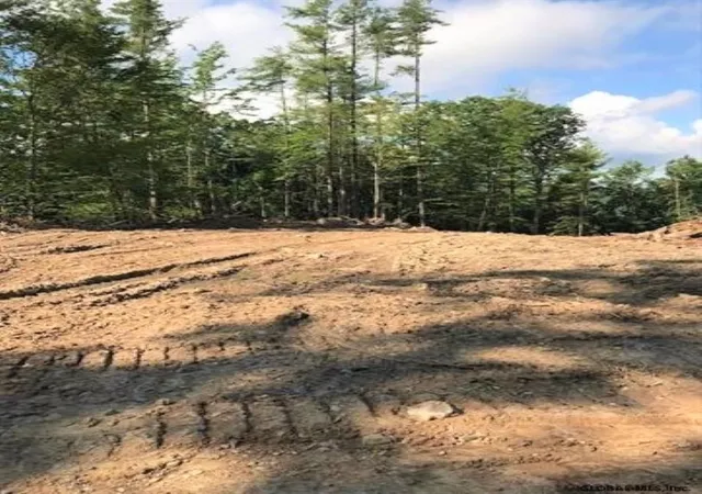 Photo 5 of Sale Pending at 000 Huntersland Rd, Middleburgh, NY 12122 | MLS# 202123490 | Listing updated on 2024-10-26