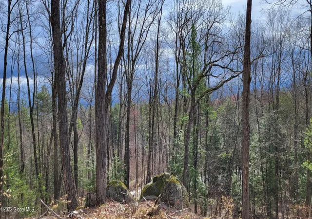 1st image of L3 Clendon Brook Rd #ADIRONDACK PK, Queensbury, NY 12804 | MLS# 202328758