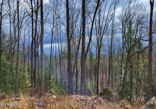 2nd image of L3 Clendon Brook Rd #ADIRONDACK PK, Queensbury, NY 12804 | MLS# 202328758