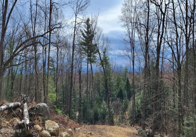 3rd image of L3 Clendon Brook Rd #ADIRONDACK PK, Queensbury, NY 12804 | MLS# 202328758