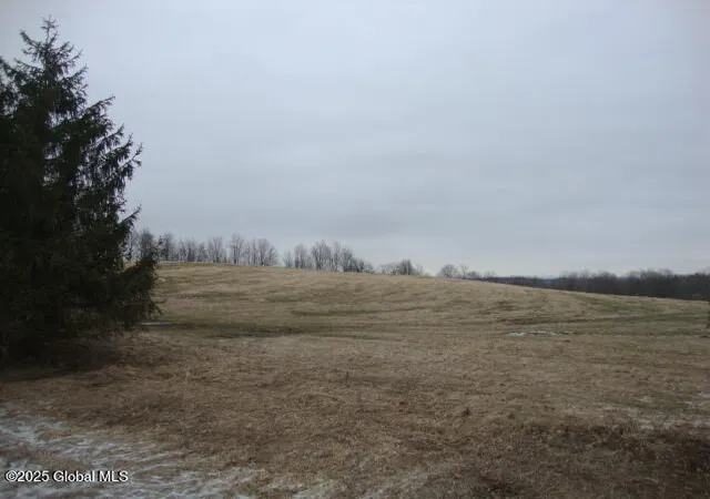 1st image of 300 Gros Rd, Fort Plain, NY 13339 | MLS# 202514062