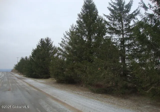 5th image of 300 Gros Rd, Fort Plain, NY 13339 | MLS# 202514062