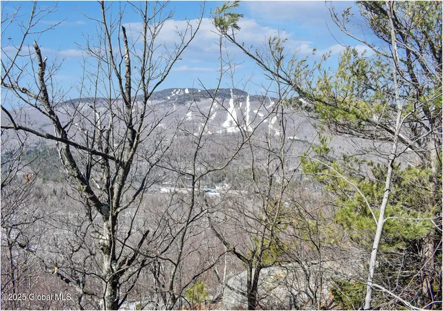 2nd image of L484 Durkin Rd, Johnsburg, NY 12853 | MLS# 202517520