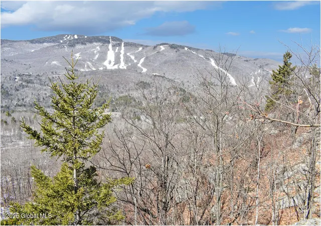 3rd image of L484 Durkin Rd, Johnsburg, NY 12853 | MLS# 202517520