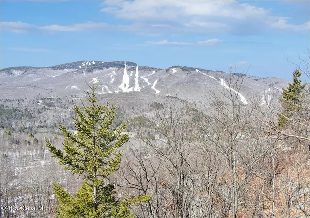 5th image of L484 Durkin Rd, Johnsburg, NY 12853 | MLS# 202517520