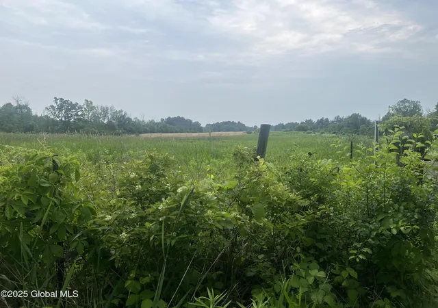 Homes for sale in Stuyvesant, NY | 000 School House Rd Rd, Stuyvesant, NY 12173 | MLS# 202519100