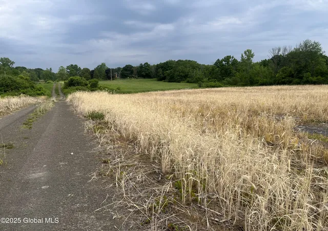 Homes for sale in Stuyvesant, NY | 000 School House Rd Rd, Stuyvesant, NY 12173 | MLS# 202519100