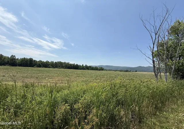 Homes for sale in Ticonderoga, NY | L4/6 Shanahan Road, Ticonderoga, NY 12883 | MLS# 202522097