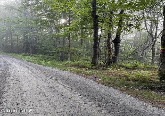 Homes for sale in Bolton, NY | 342 Dickinson Hill Rd, Bolton, NY 12824 | MLS# 202524068