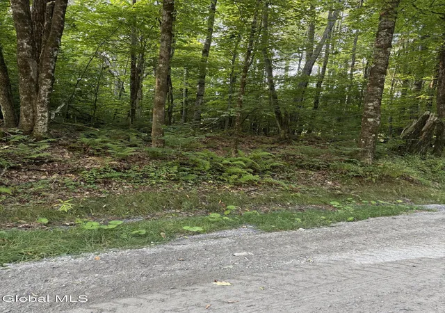 Homes for sale in Bolton, NY | 362 Dickinson Hill Rd, Bolton, NY 12824 | MLS# 202524071