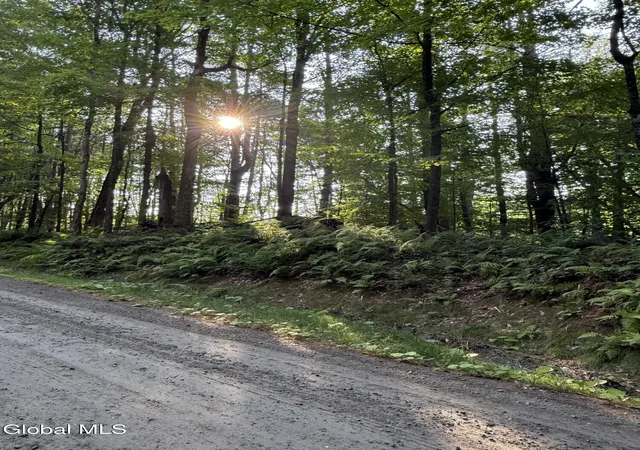 Homes for sale in Bolton, NY | 352 Dickinson Hill Rd, Bolton, NY 12824 | MLS# 202524141