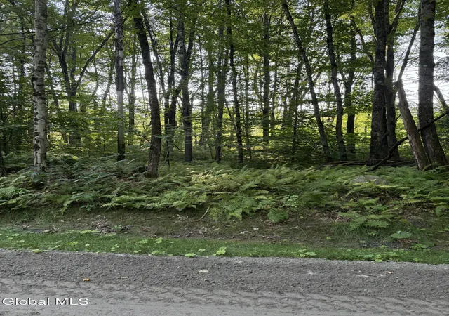 Homes for sale in Bolton, NY | 354 Dickinson Hill Rd, Bolton, NY 12824 | MLS# 202524145
