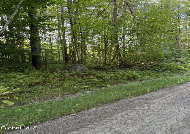 Homes for sale in Bolton, NY | 356 Dickinson Hill Rd, Bolton, NY 12824 | MLS# 202524146