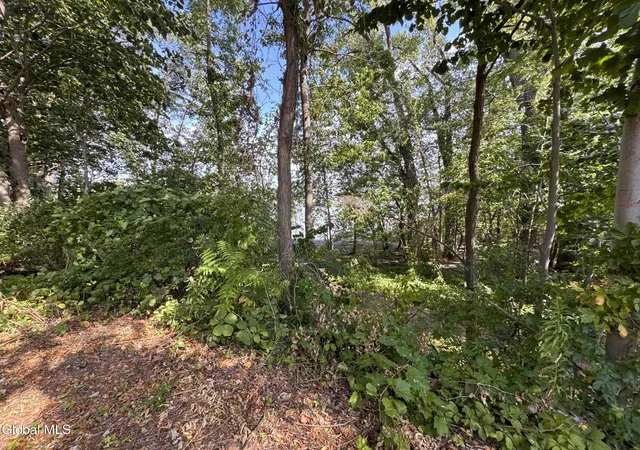 Homes for sale in Crown Point, NY | 15 Champlain Shores Way, Crown Point, NY 12928 | MLS# 202524495