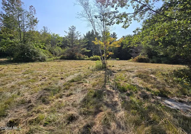 Photo 2 of Land for sale at 304 Anderson Rd, Middleburgh, NY 12122 | MLS# 202525626 | Listing updated on 2026-04-03