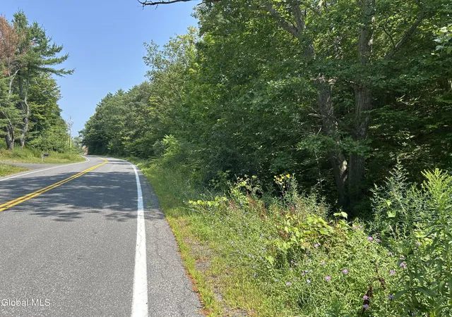 Photo 1 of Land for sale at L100 Willsie Rd, East Berne, NY 12059 | MLS# 202526717 | Listing updated on 2026-08-23