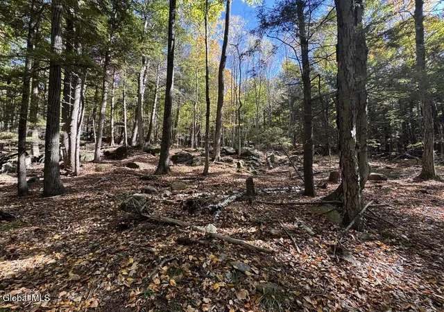 Land for sale at 40 Constitution Way, Queensbury, NY 12804 | MLS# 202528023 | Listing updated on 2025-11-20