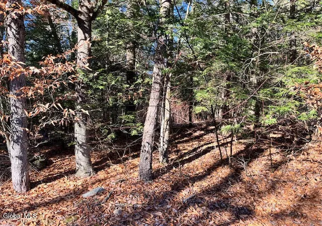 Homes for sale in Bolton, NY | L5322 South Trout Lake Rd, Bolton, NY 12814 | MLS# 202528854