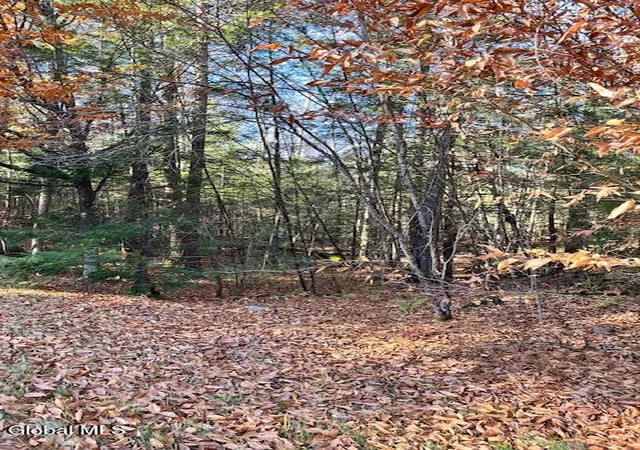 3rd image of L5322 South Trout Lake Rd, Bolton, NY 12814 | MLS# 202528854