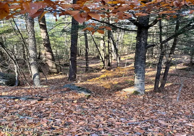 4th image of L5322 South Trout Lake Rd, Bolton, NY 12814 | MLS# 202528854