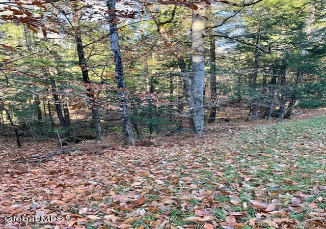 5th image of L5322 South Trout Lake Rd, Bolton, NY 12814 | MLS# 202528854