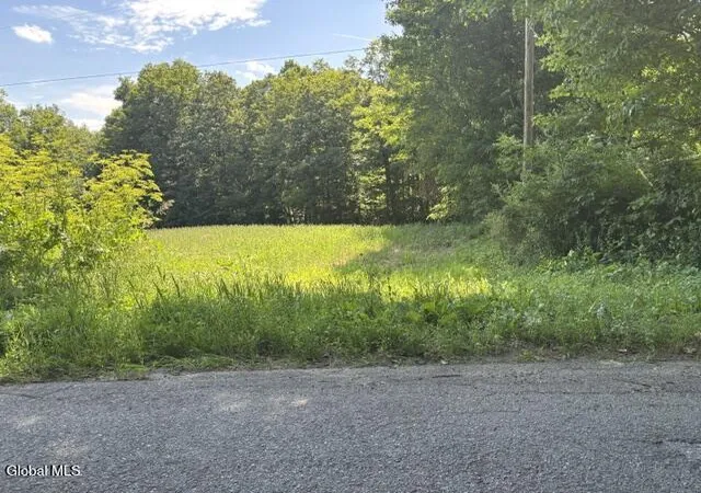 1st image of 0 Darfler Lane, Hebron, NY 12832 | MLS# 202529442