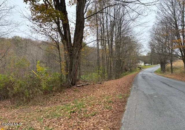 4th image of 0 Darfler Lane, Hebron, NY 12832 | MLS# 202529442