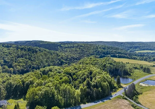 1st image of L1 County Road 16, Otselic, NY 13155 | MLS# 202530782