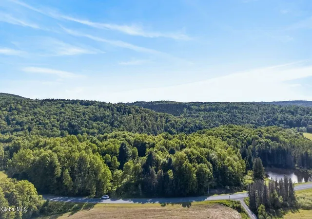 3rd image of L1 County Road 16, Otselic, NY 13155 | MLS# 202530782