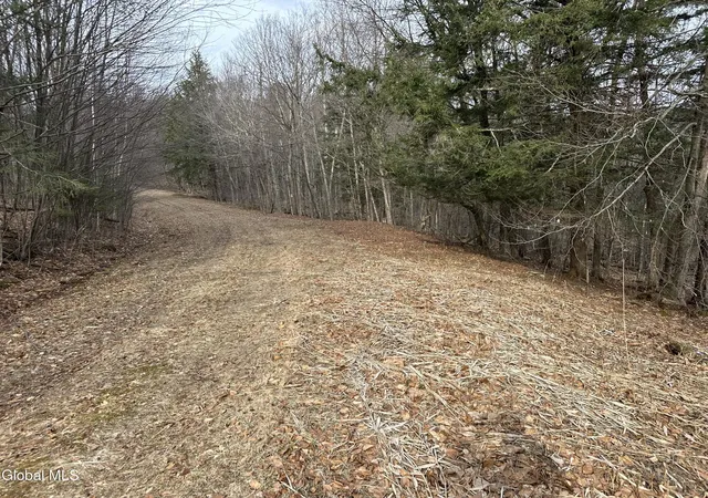 Homes for sale in Stephentown, NY | 22 Beech Wy, Stephentown, NY 12168 | MLS# 202610738