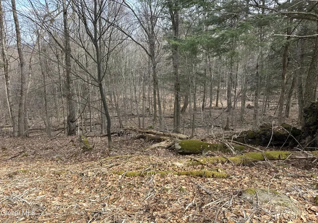 Photo 3 of Land for sale at 22 Beech Way, Stephentown, NY 12168 | MLS# 202610738 | Listing updated on 2026-03-31