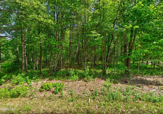 3rd image of L1 Ruggles Rd, Wilton, NY 12831 | MLS# 202618428
