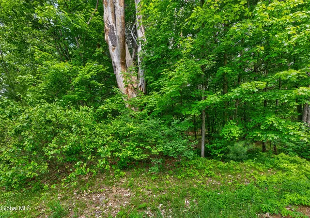 4th image of L1 Ruggles Rd, Wilton, NY 12831 | MLS# 202618428