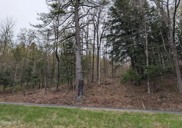 Homes for sale in Ticonderoga, NY | 2387 New York 74, Ticonderoga, NY 12883 | MLS# 202610885
