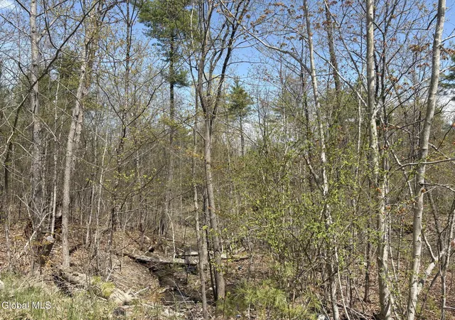 Homes for sale in Ticonderoga, NY | 1310 Lower Rd, Ticonderoga, NY 12883 | MLS# 202611119