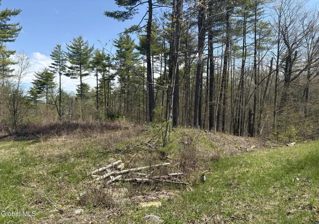 Homes for sale in Ticonderoga, NY | 1310 Lower Rd, Ticonderoga, NY 12883 | MLS# 202611119
